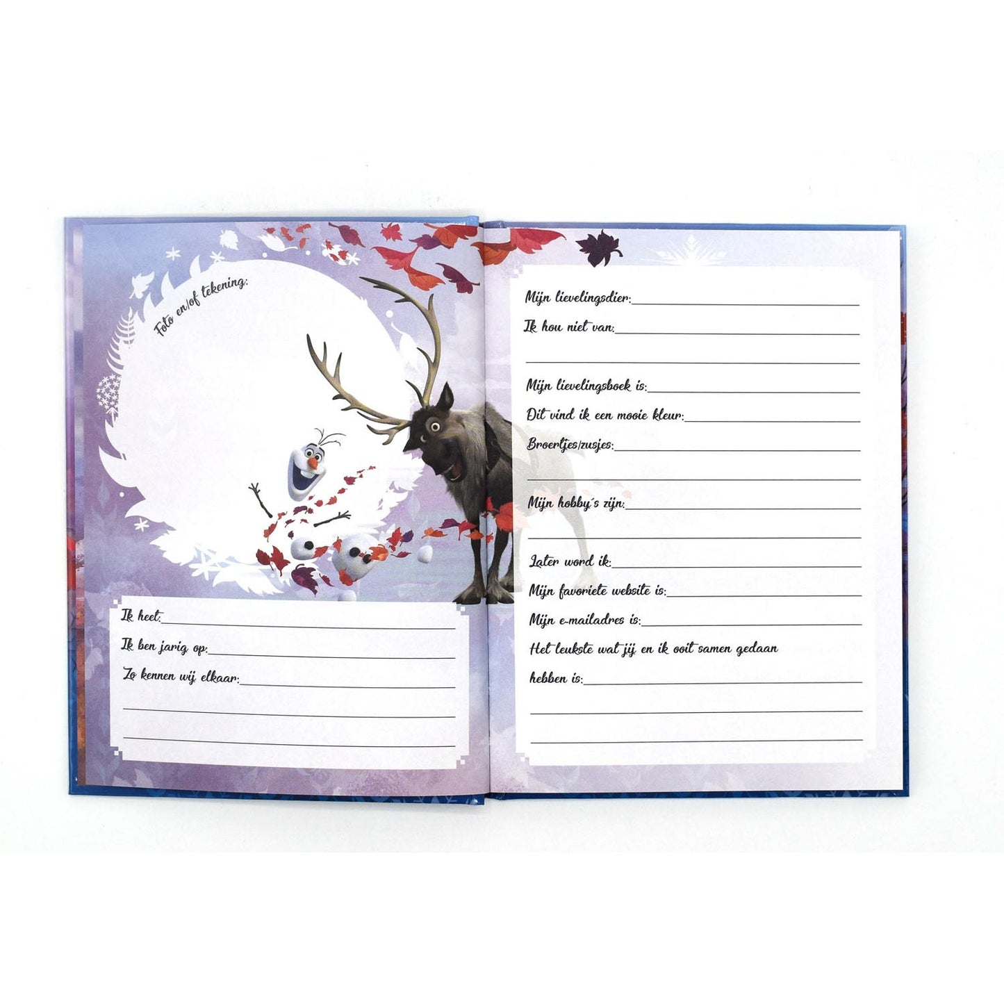 Livre d'amis Frozen II