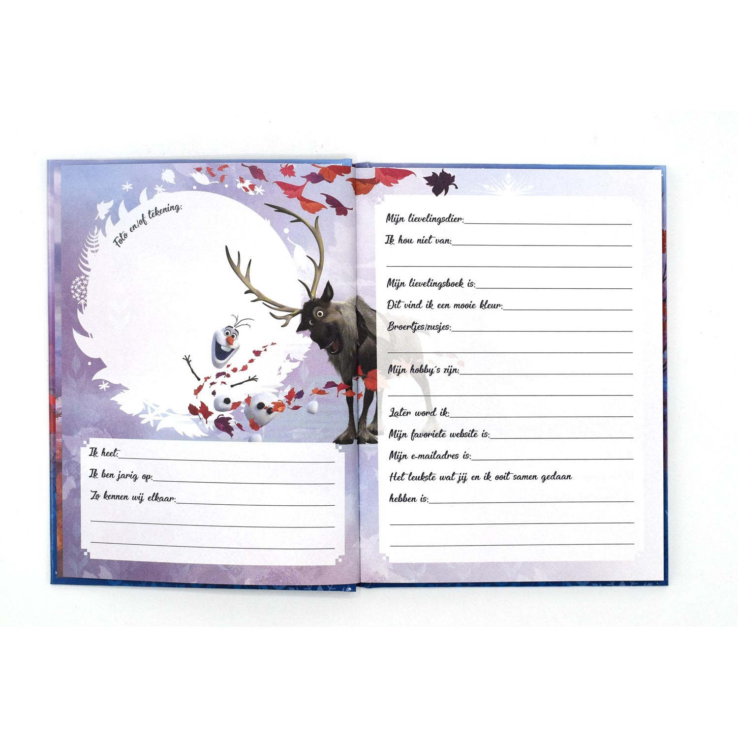 Livre d'amis Frozen II