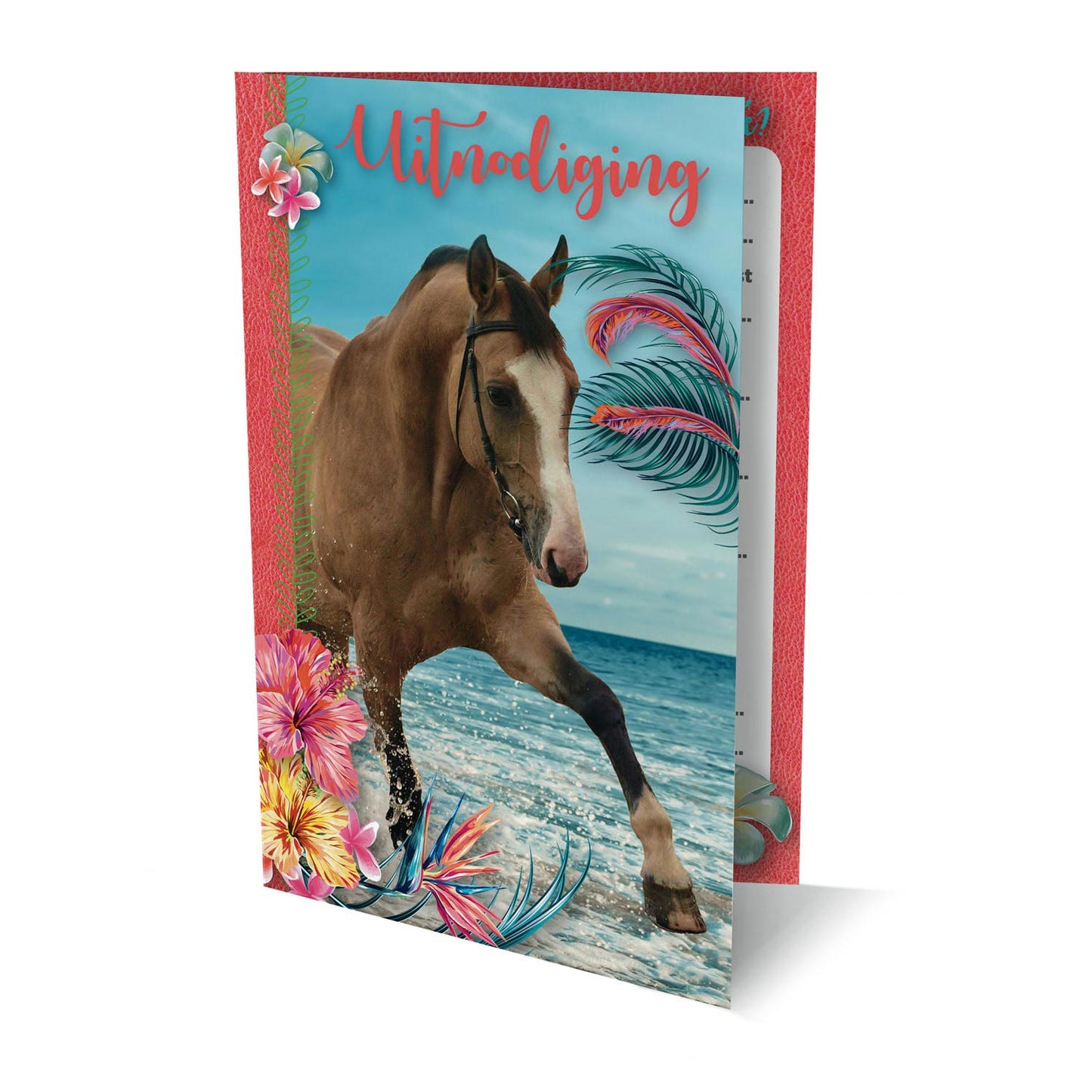Invitations cheval, 6 pcs.
