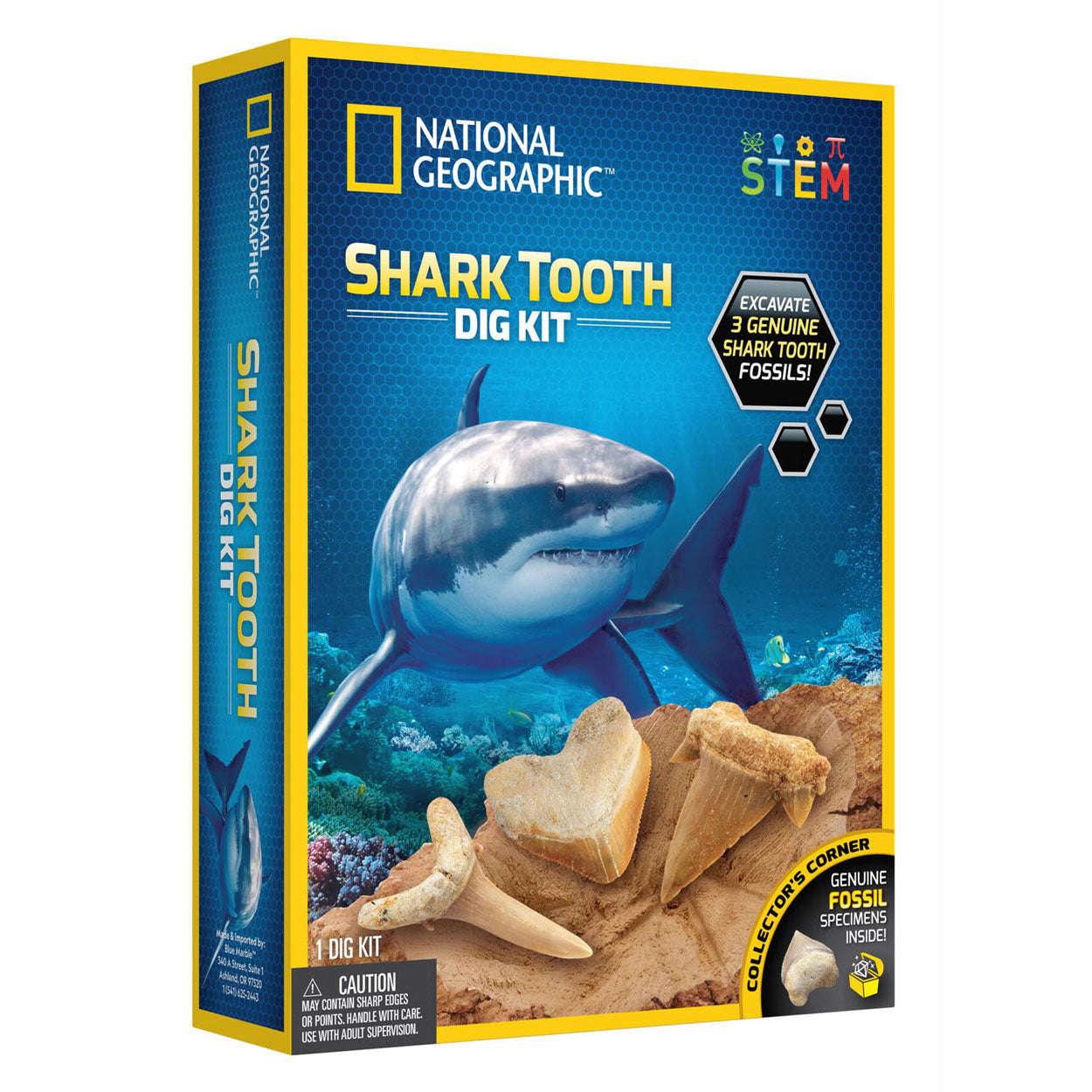 National Geographic Shark Dental Nombre
