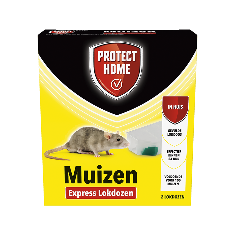Pro-tect 1066307 - remède express pour souris 2 pièces | 2 pièces