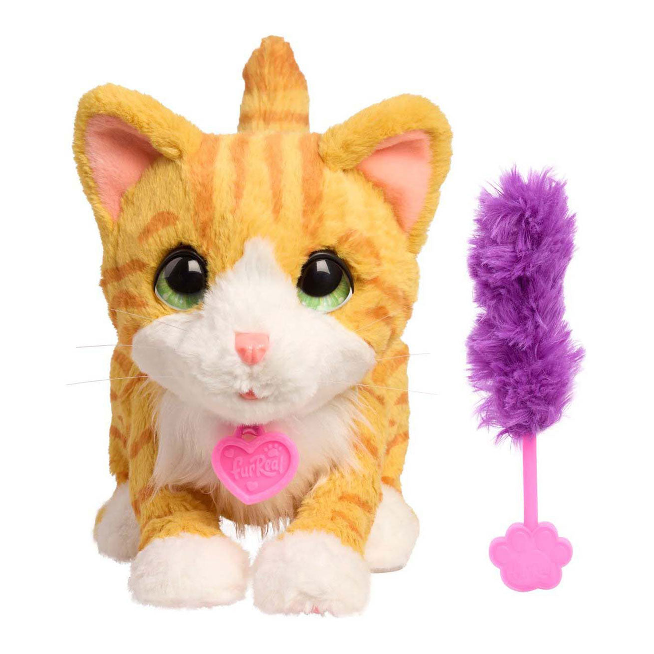 Bella furré le biscuit faisant du minou