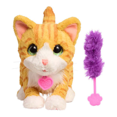 Bella furré le biscuit faisant du minou