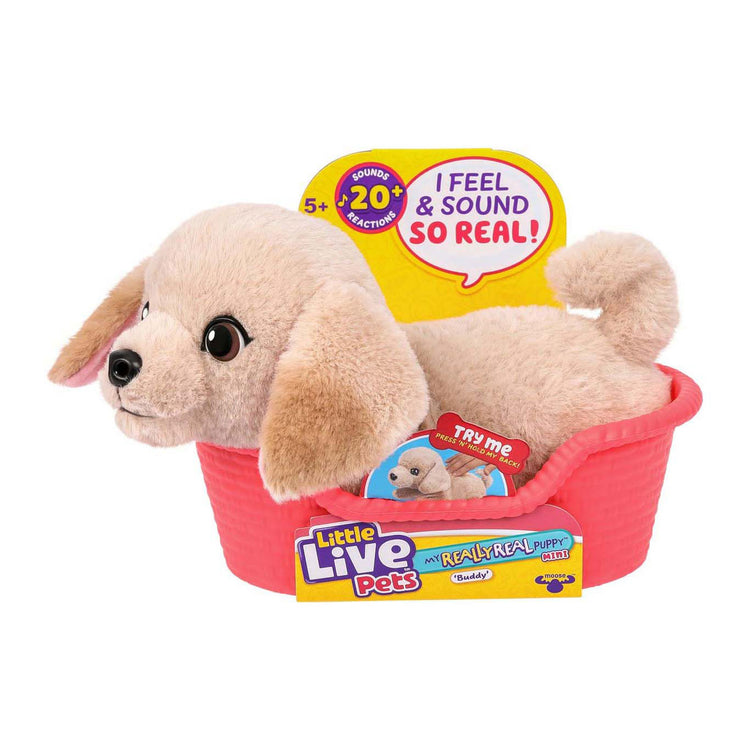 Mon vraiment vrai chiot mini copain 21 cm