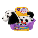 My Really Real Puppy Mini Pepper 21 cm - afbeelding 2