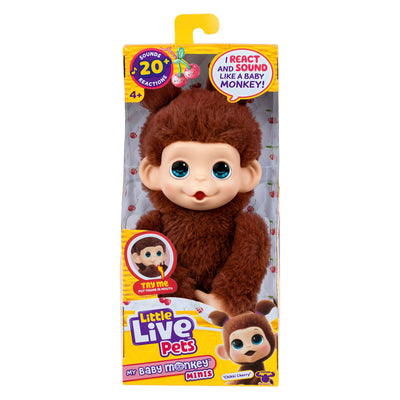 Petits animaux vivants mon bébé mini singe brun cherri | 3 pièces