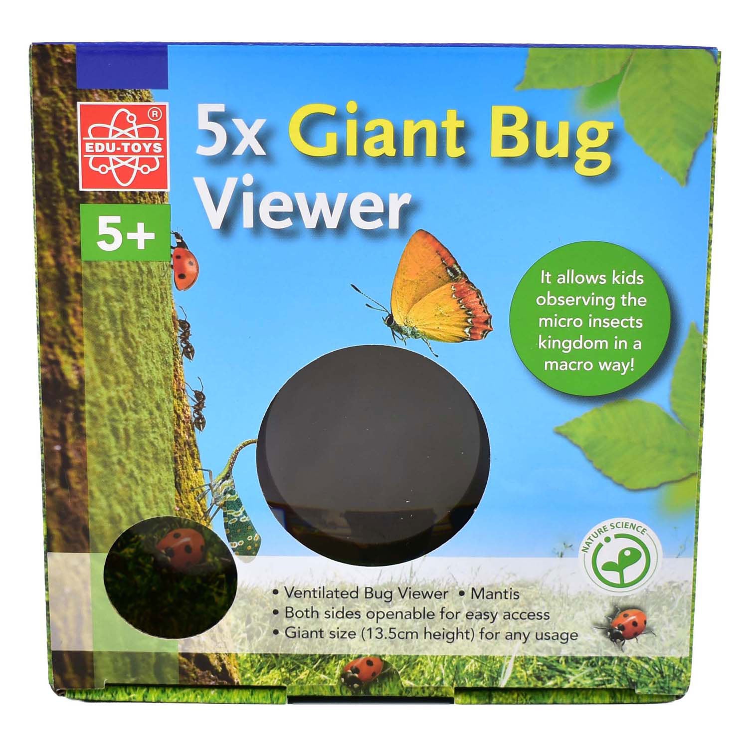 Grande visionneuse d'insectes Edu Science