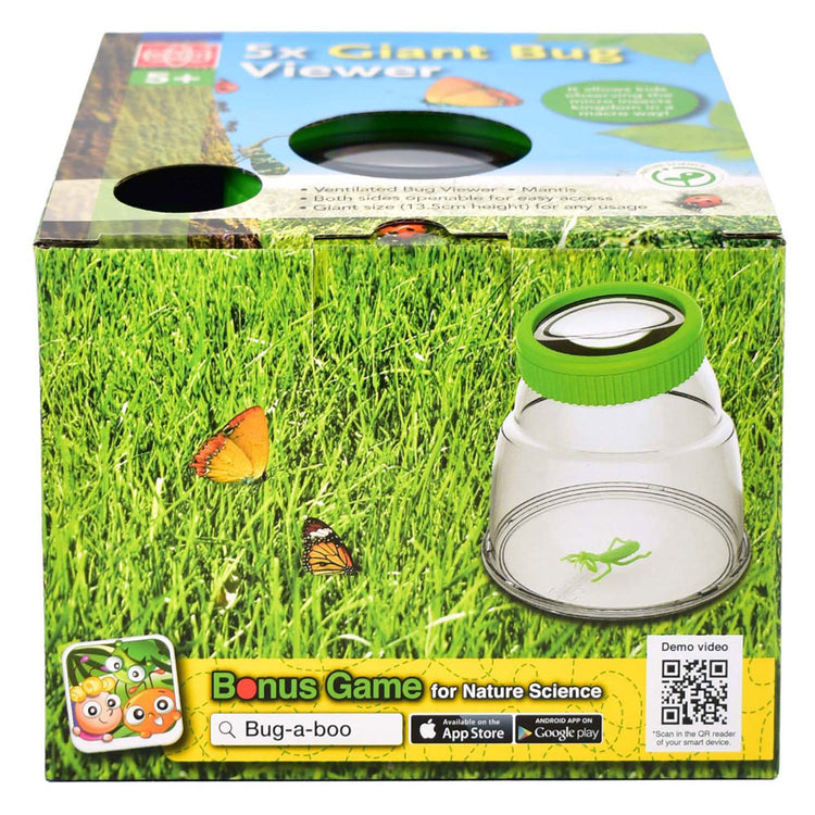Grande visionneuse d'insectes Edu Science