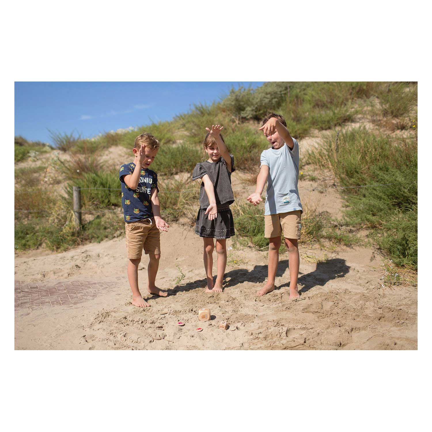 BS Toys Birds in Action Hout Child Game