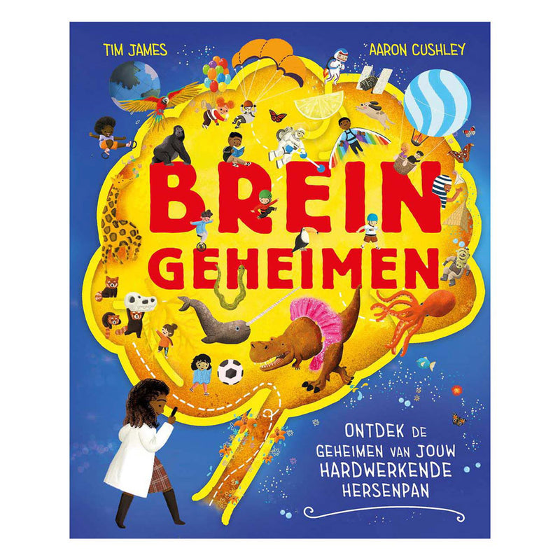 Éditeur Kluitman Brain Secrets