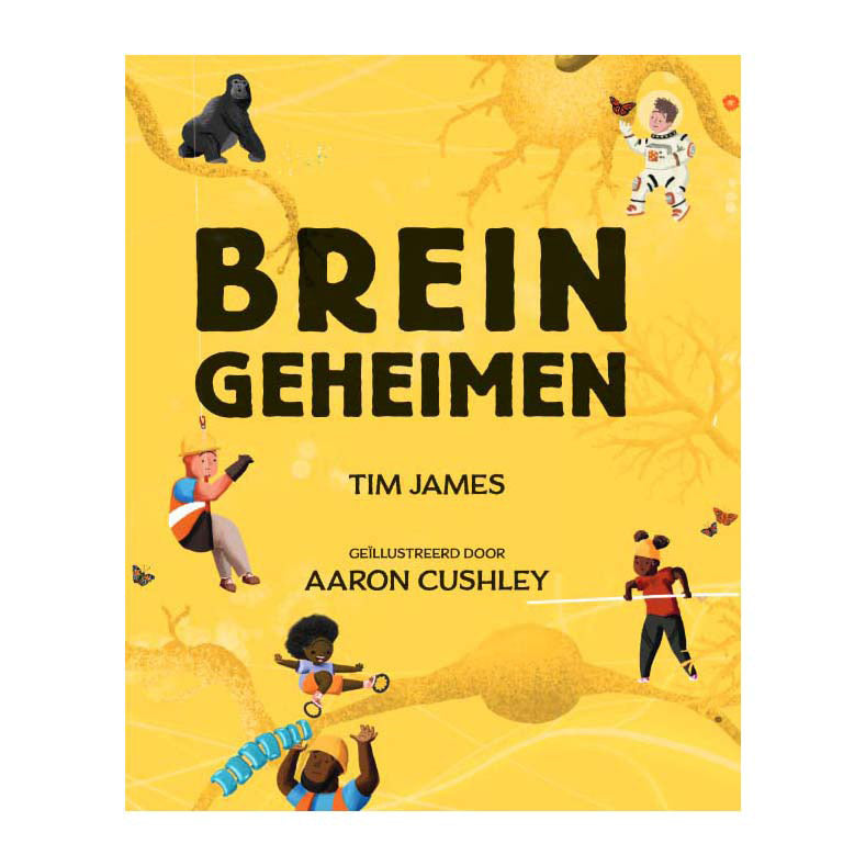 Éditeur Kluitman Brain Secrets