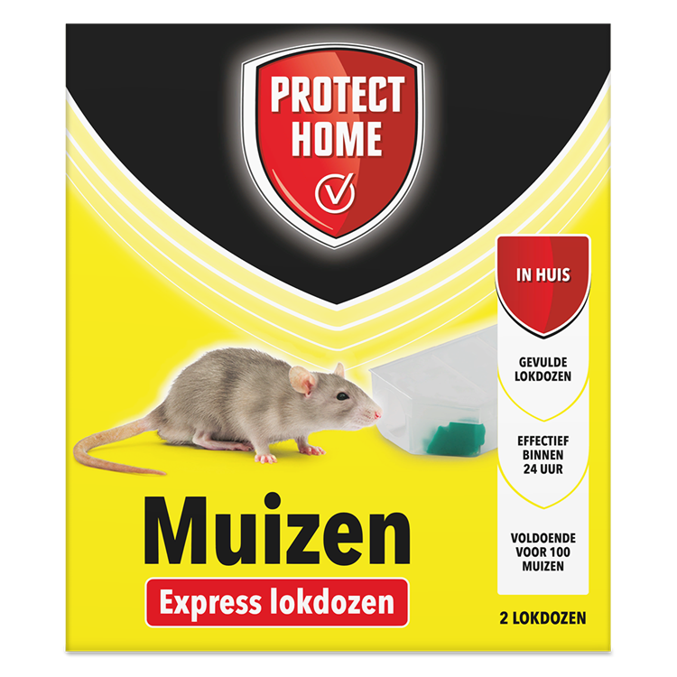 Pro-tect 1066307 - remède express pour souris 2 pièces | 2 pièces