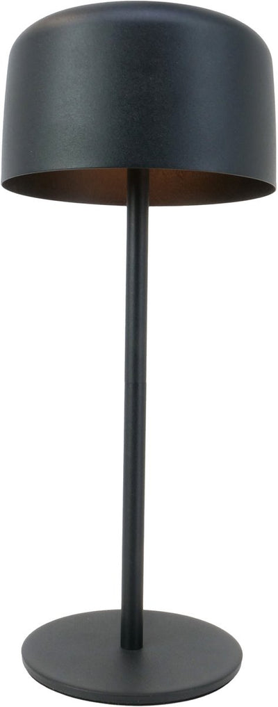 Lampe de table Eglo roccanova - rechargeable (jusqu'à 22 heures de lumière) - solaire - 30 cm - noir - sans fil - dimmable - intérieur et extérieur