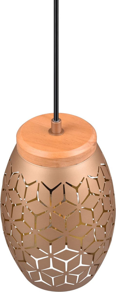 Rl vis ta lumière réalité bidar - lampe suspendue - café - excl. 1x e27 28w