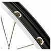 Roue arrière Shimano 28 pouces moyeu Nexus 7 (noir) - jante zac2000 (argent noir) avec rayons en acier inoxydable - pour frein à disque