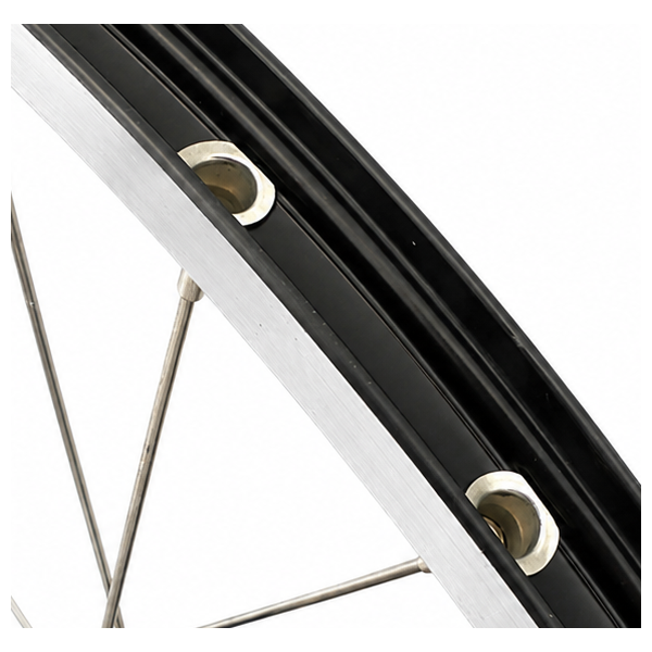 Roue arrière Shimano 28 pouces moyeu Nexus 7 (noir) - jante zac2000 (argent noir) avec rayons en acier inoxydable - pour frein à disque