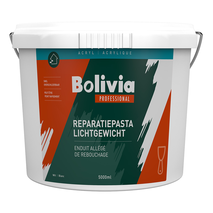 Bolivie 1073478 - réparation pst light 5lt | 1 pièce