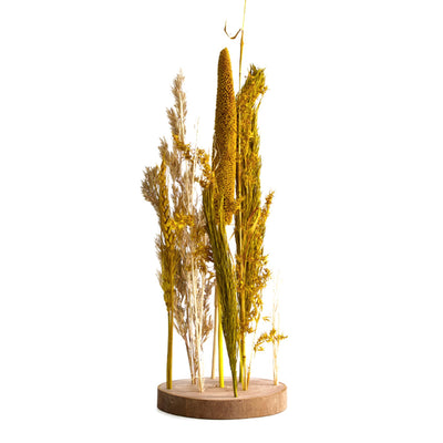 Dijk collections naturelles fleurs séchées en standard ø15x30cm