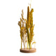 Dijk collections naturelles fleurs séchées en standard ø15x30cm