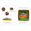 Maison centrale du livre l'édition cartonnée Gruffalo