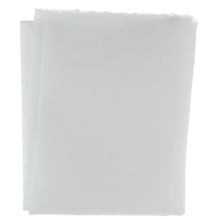 1061074 - filtre pour hotte aspirante 2pcs 47x57cm | 10 pièces