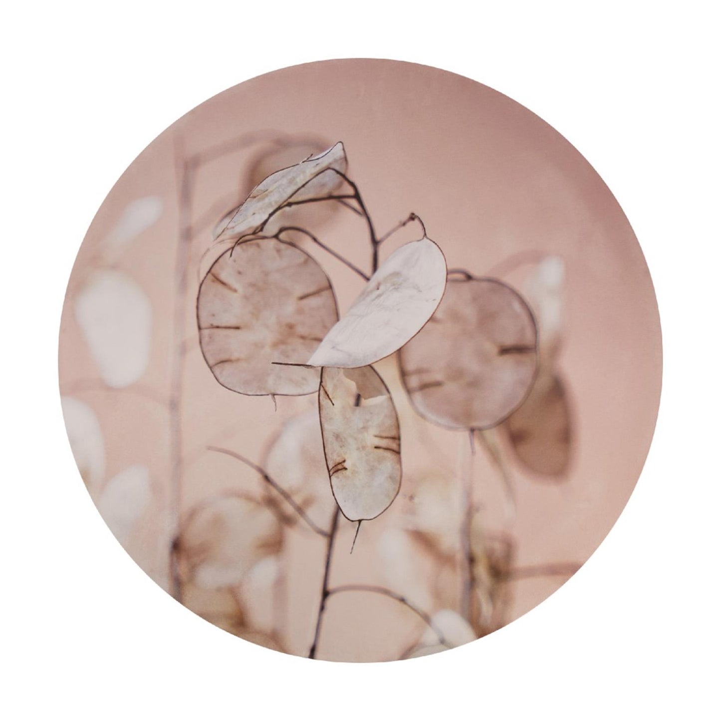 Dijk natural collections cercle mural mdf ø58x2,5cm dessus dollar