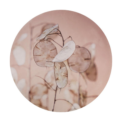 Dijk natural collections cercle mural mdf ø58x2,5cm dessus dollar