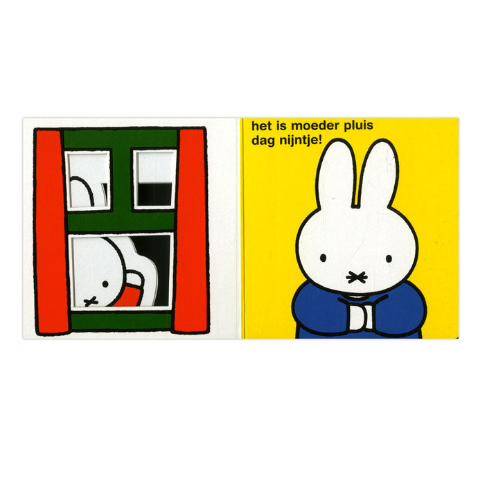 Cache-cache dans la librairie centrale ! qui est là, Miffy ?