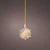Lumineo micro étoile LED avec fleurs séchées ø 19cm