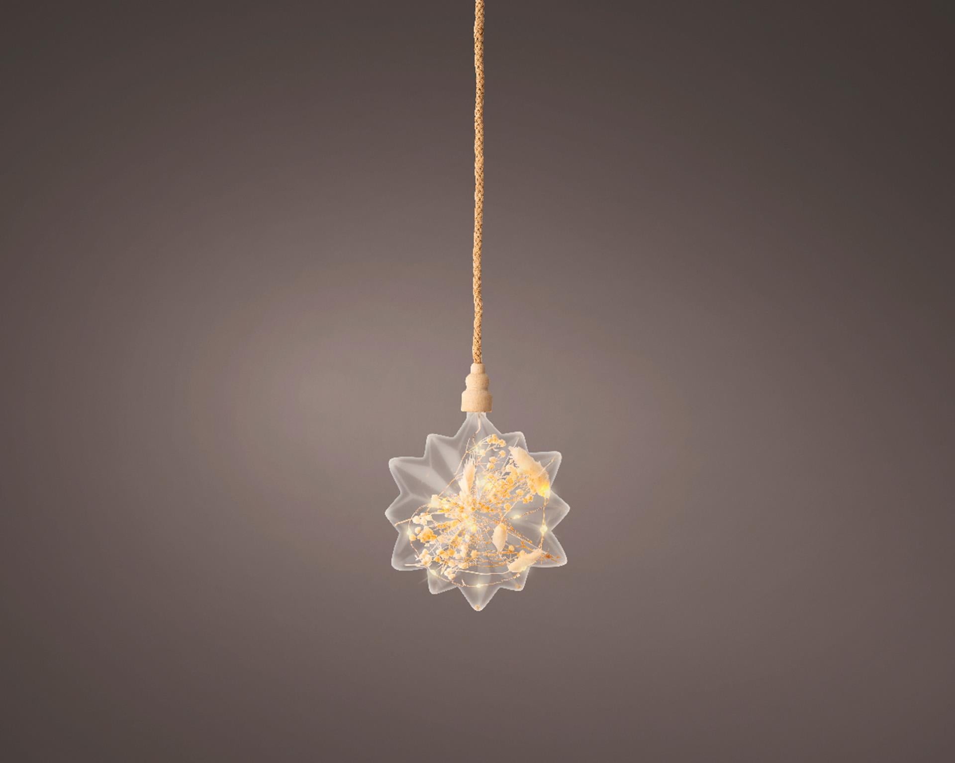 Lumineo micro étoile LED avec fleurs séchées ø 19cm