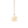 Lumineo micro étoile LED avec fleurs séchées ø 19cm