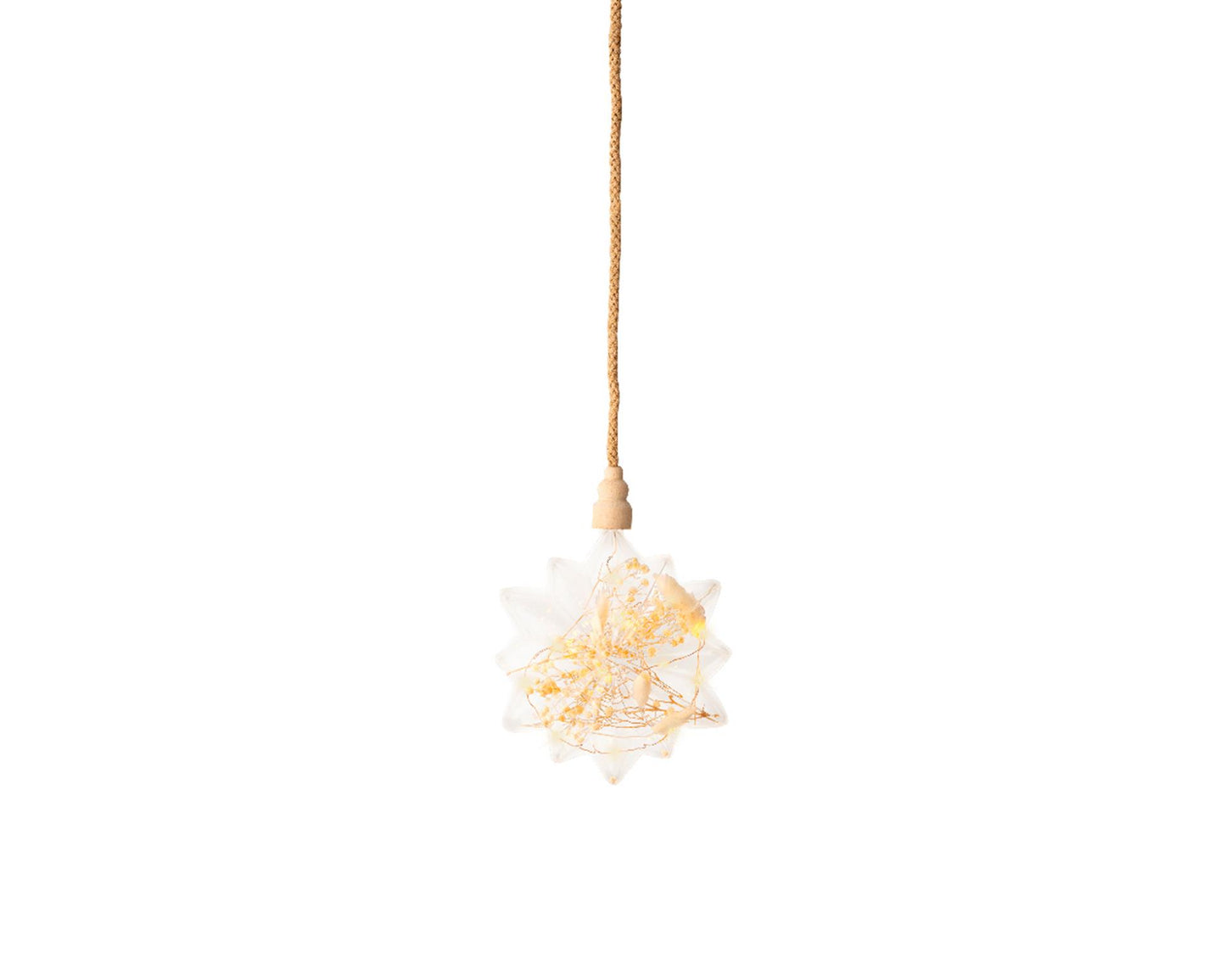 Lumineo micro étoile LED avec fleurs séchées ø 19cm
