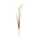 Dijk natural collections fleur artificielle panache 78x10x3cm beige