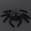 Ptipotos l'araignée noire 15 cm