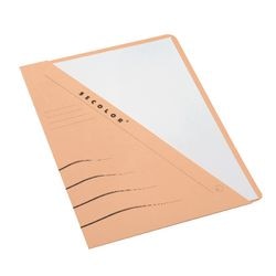 Insérer dossier secolor djois a4 chamois