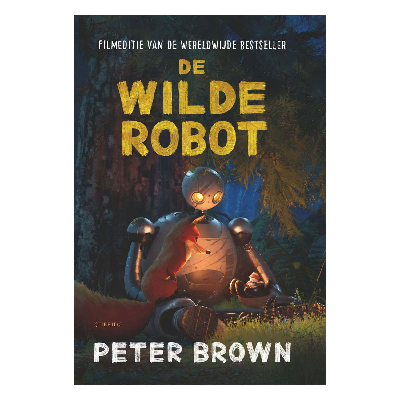 Maison centrale du livre le robot sauvage