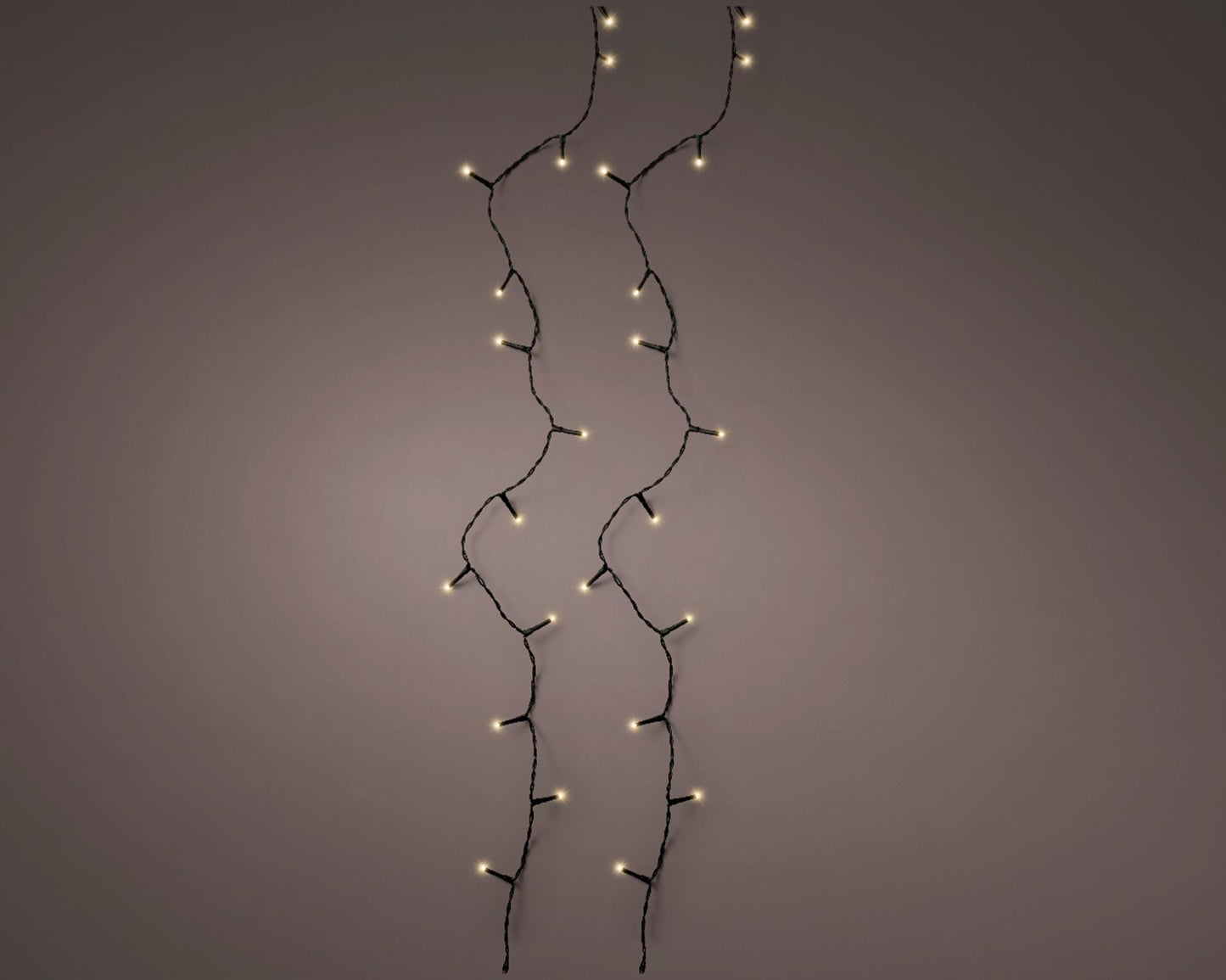 Lumières de Noël Lumineo basic 80led champagne