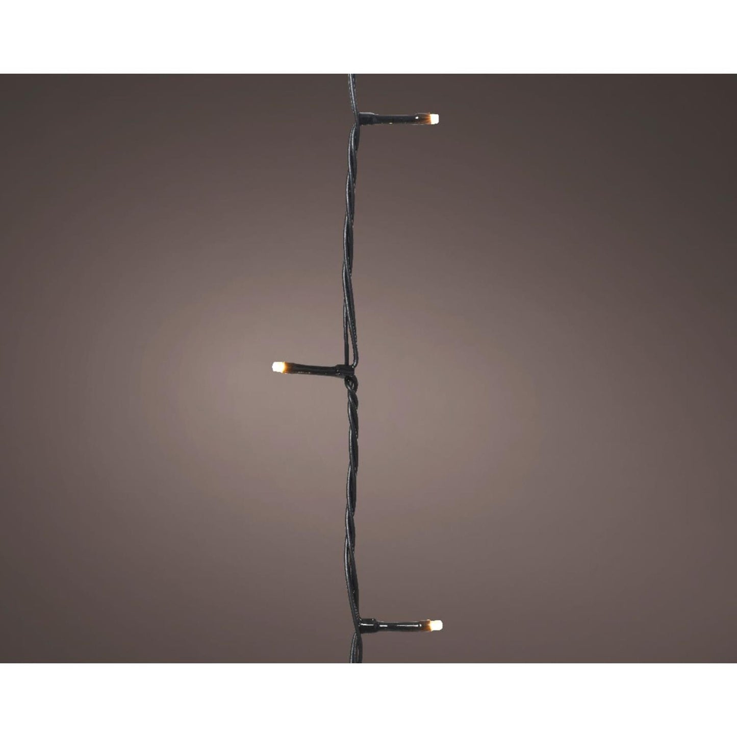 Lumières de Noël Lumineo basic 240led champagne