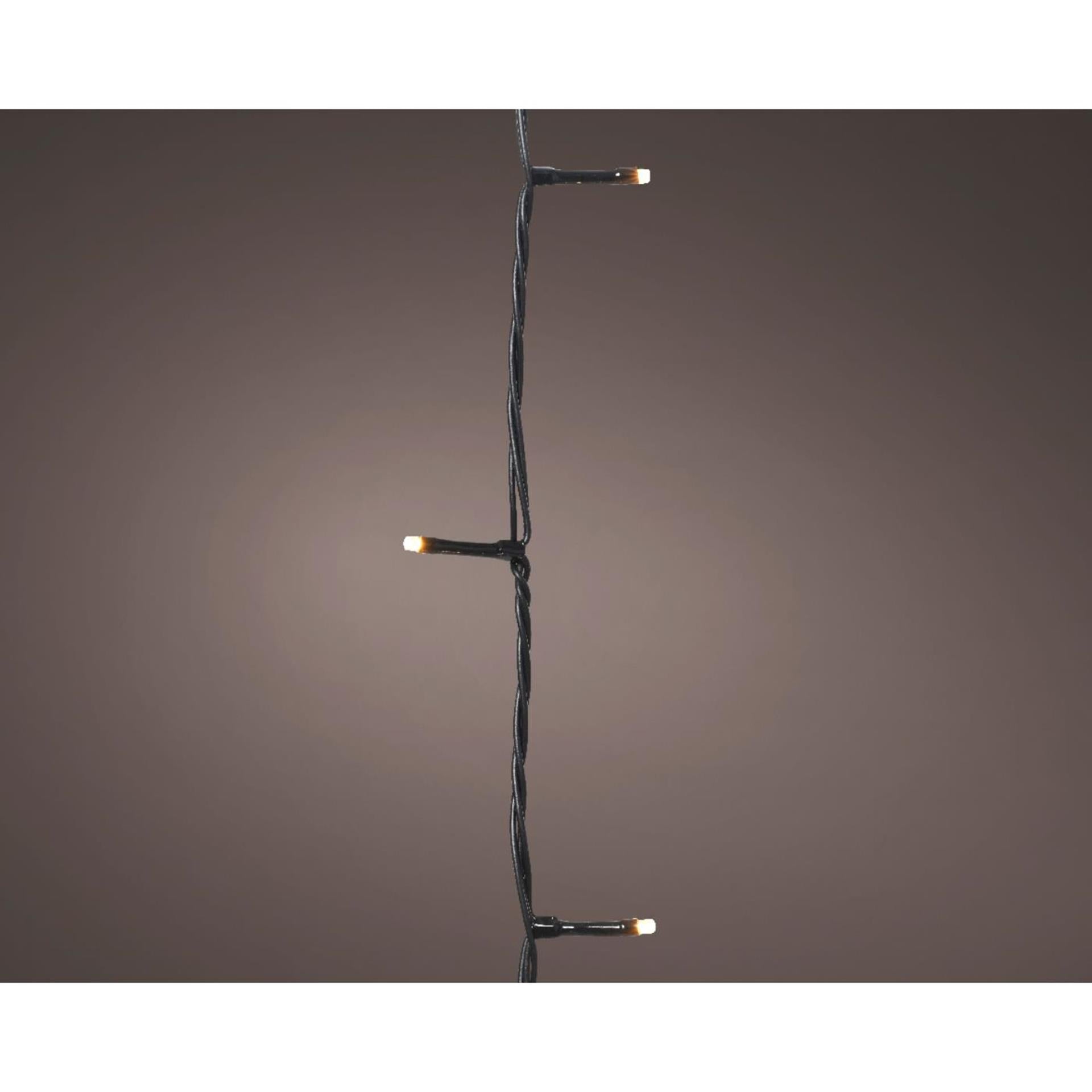 Lumières de Noël Lumineo basic 240led champagne