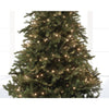 Lumineo Lumières de Noël basic blanc chaud 180 LED