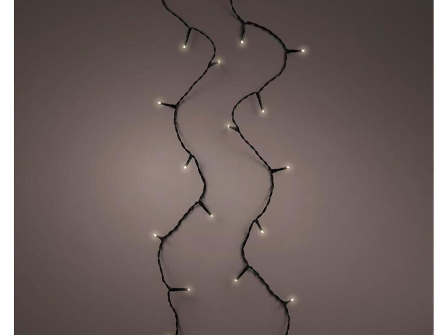 Lumineo Lumières de Noël basic 40led classicwarm