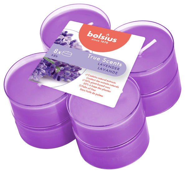 Bolsius maxi lumières vrais parfums lavande ø58x24 mm 8 heures (6x 8 pièces)