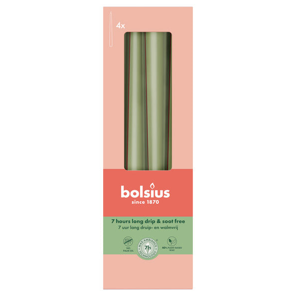 Bougies gothiques Bolsius olive fraîche ø24x245 mm 7 heures (8x 4 pièces)