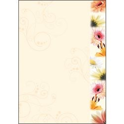 Papier design Sigel DP788 gamme de couleurs