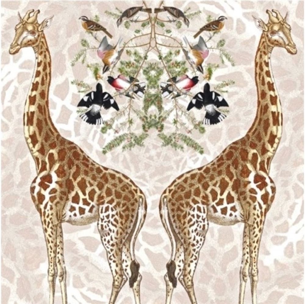 Carte+enveloppe girafe. 16x16cm