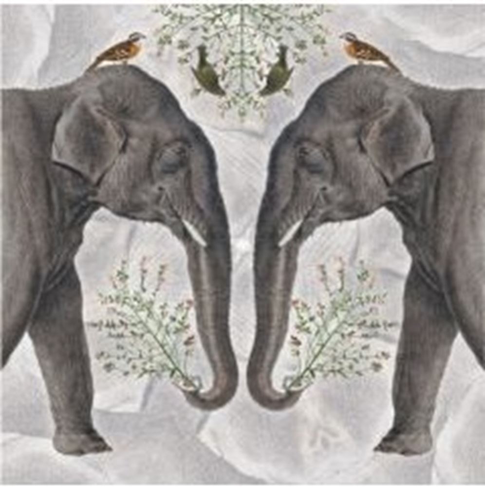 Carte+enveloppe éléphant indien. 16x16cm