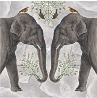 Carte+enveloppe éléphant indien. 16x16cm