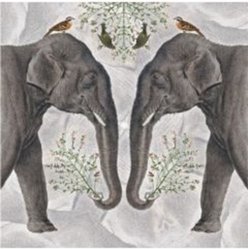 Carte+enveloppe éléphant indien. 16x16cm