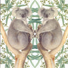 Carte+enveloppe ours koala. 16x16cm