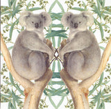 Carte+enveloppe ours koala. 16x16cm - afbeelding 1